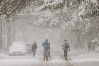 So Much Snow! A Joyous Celebration of the 2025 Louisiana Snowstorm Book