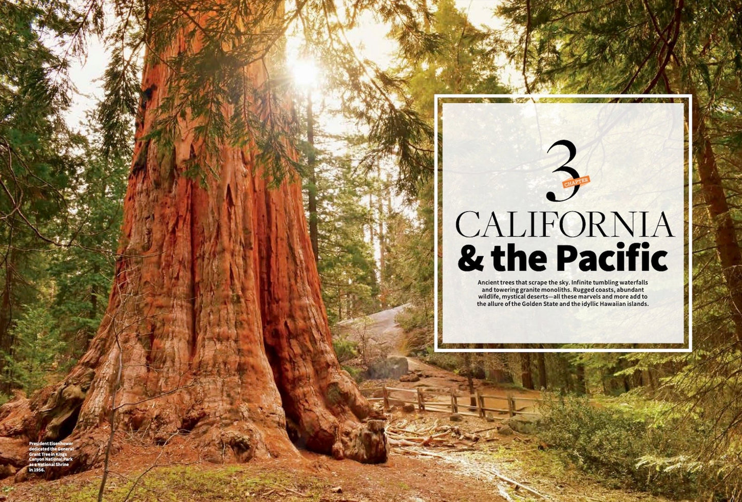 Complete Guide to the National Parks - 2023 Travel Guide, All 63 Parks: Yosemite, Grand Canyon, Yellowstone, Rocky Mountain, Acadia, Olympic, Bryce Canyon, Smoky Mountains, Grand Teton, Glacier