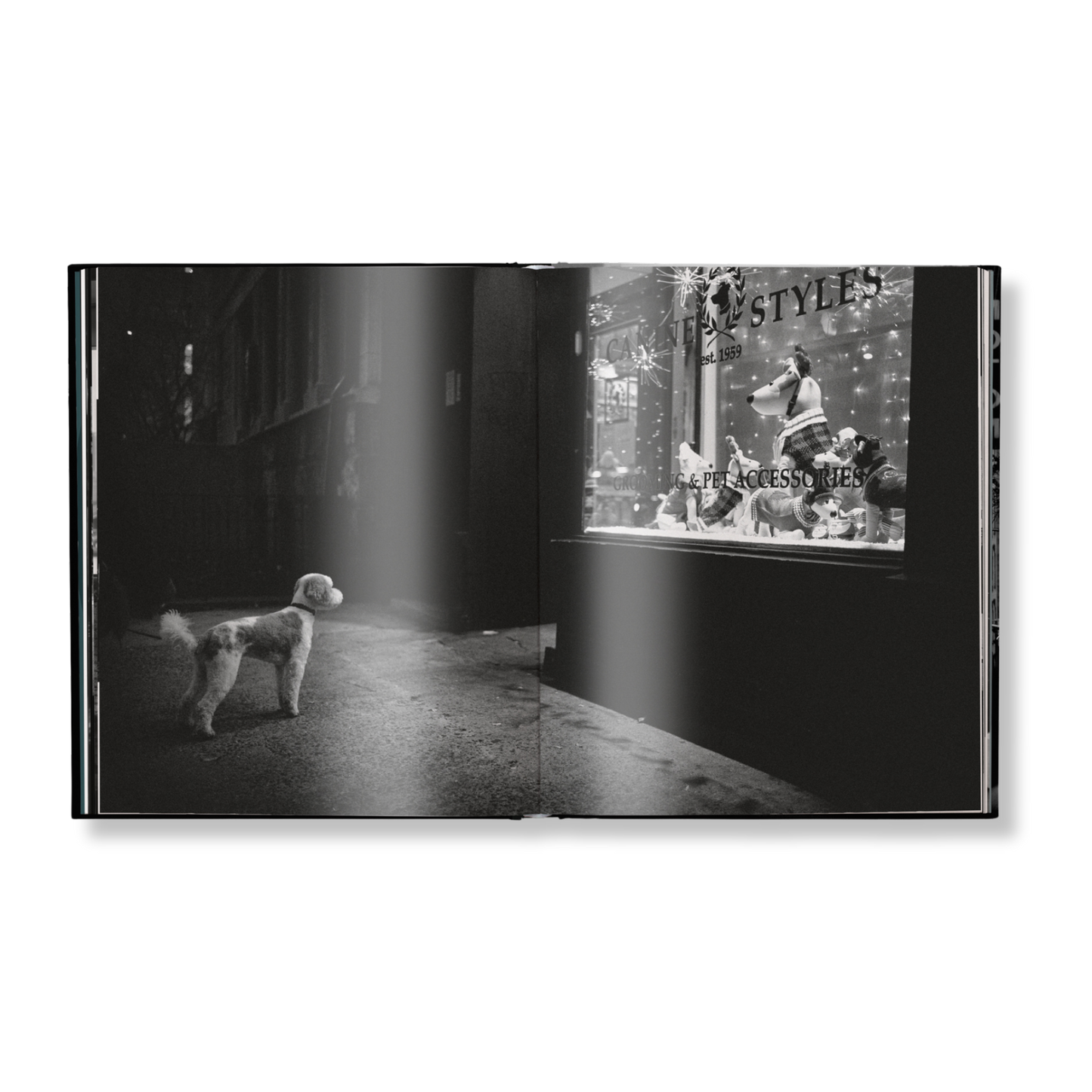 New York Street Diaries Book