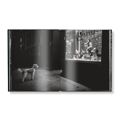 New York Street Diaries Book