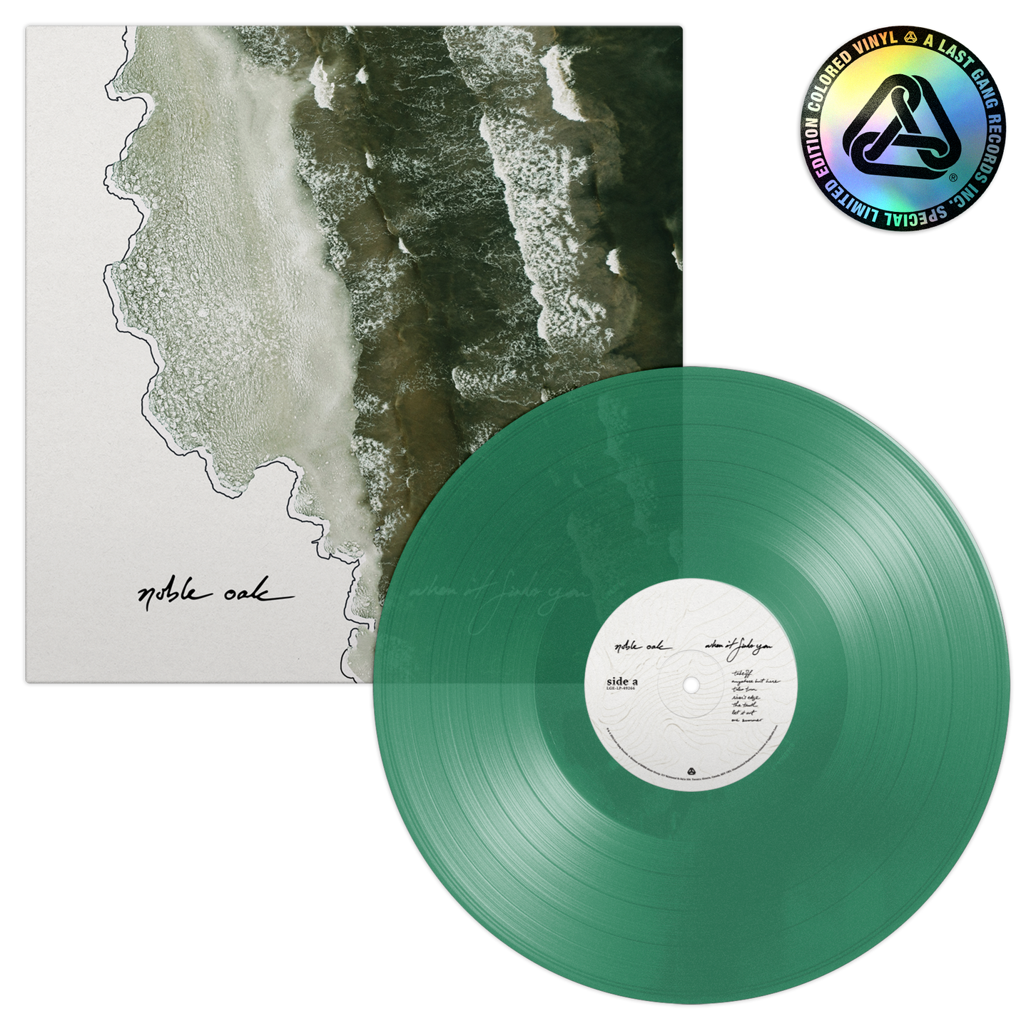 Noble Oak - When It Finds You Vinyl Record