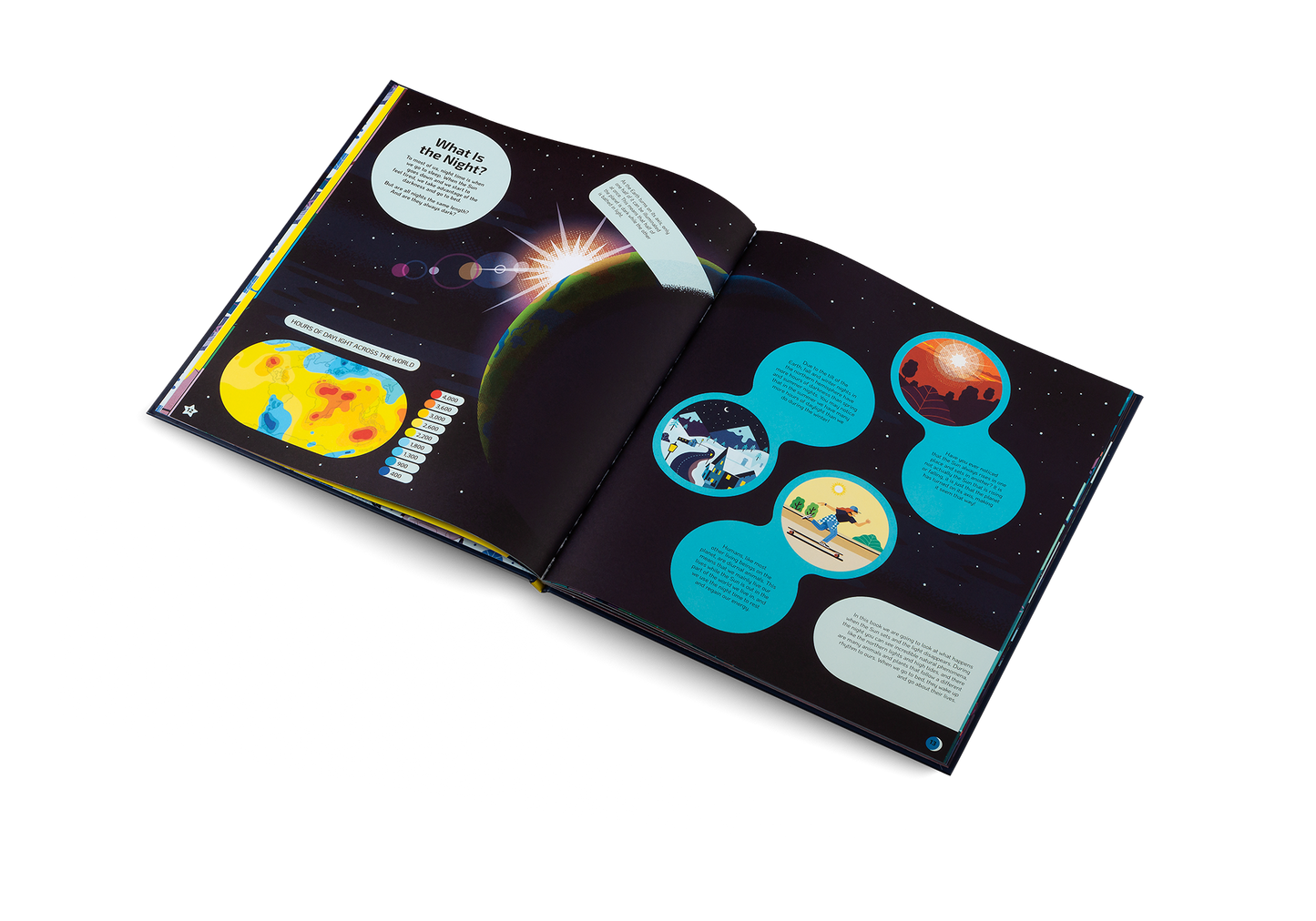 Nocturnal Book