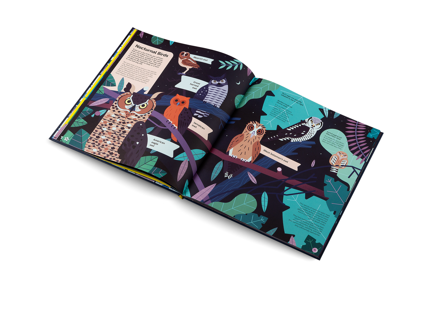 Nocturnal Book