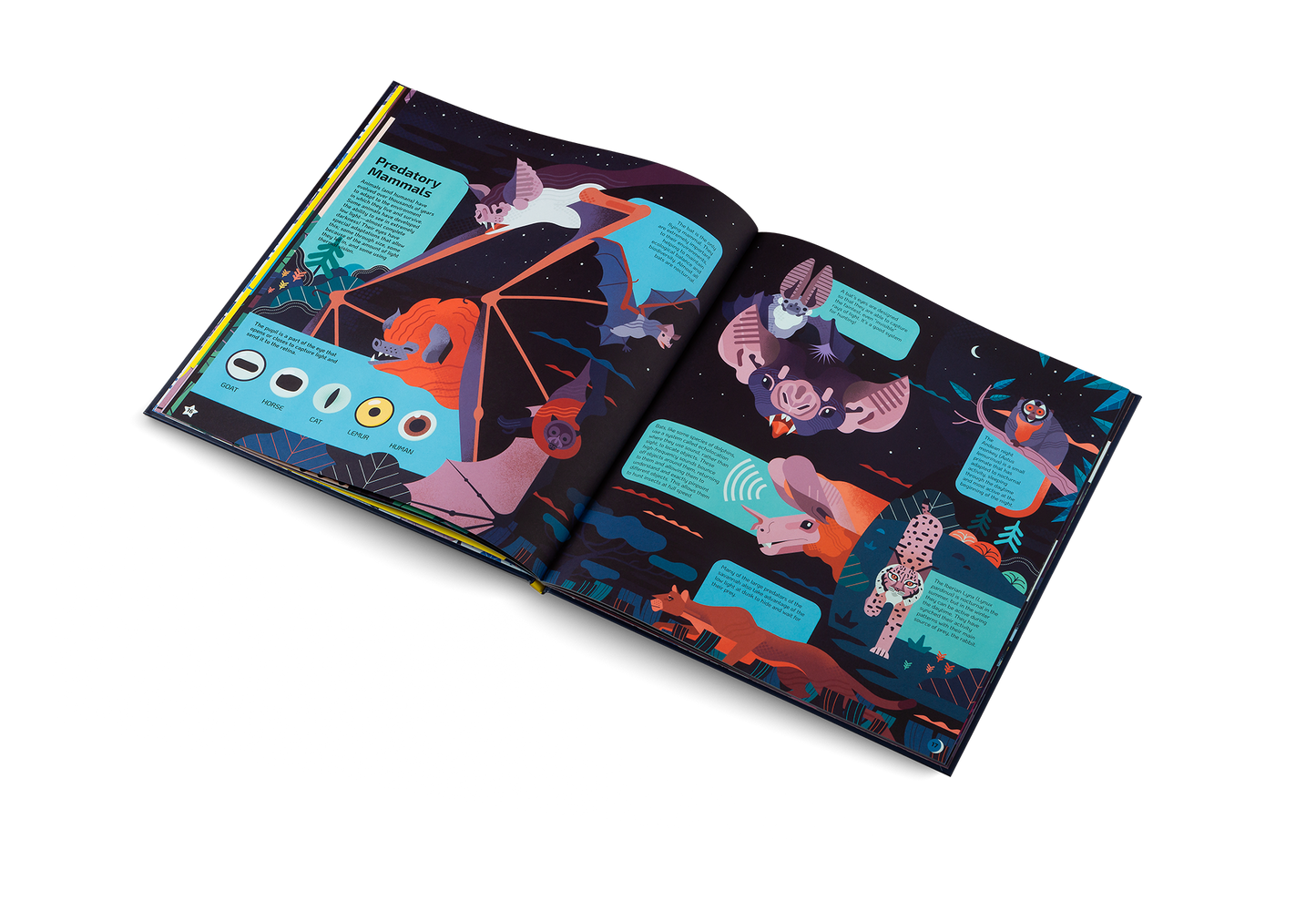 Nocturnal Book