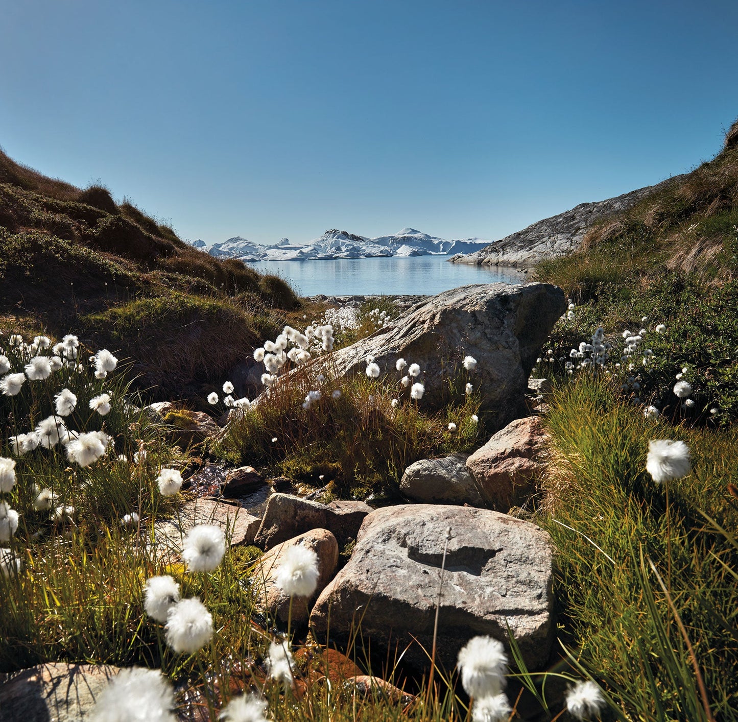 Nordic By Nature Book