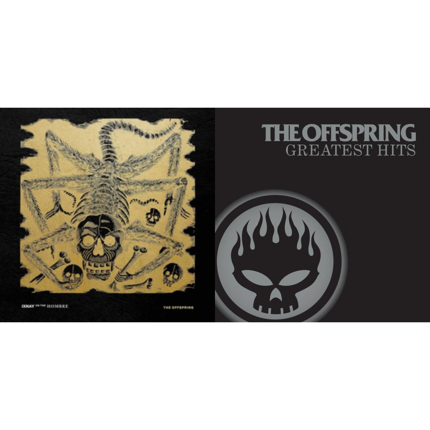 Offspring - Greatest Hits & Ixnay On The Hombre (180G/Opaque Gold LP Vinyl/Leatherette Jacket)