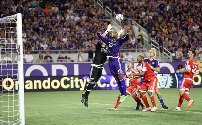 Purple Reign: Orlando City's Inaugural 2015 Major League Soccer Season Book