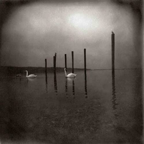 Conference Of The Birds [Vinyl] Vinyl Record