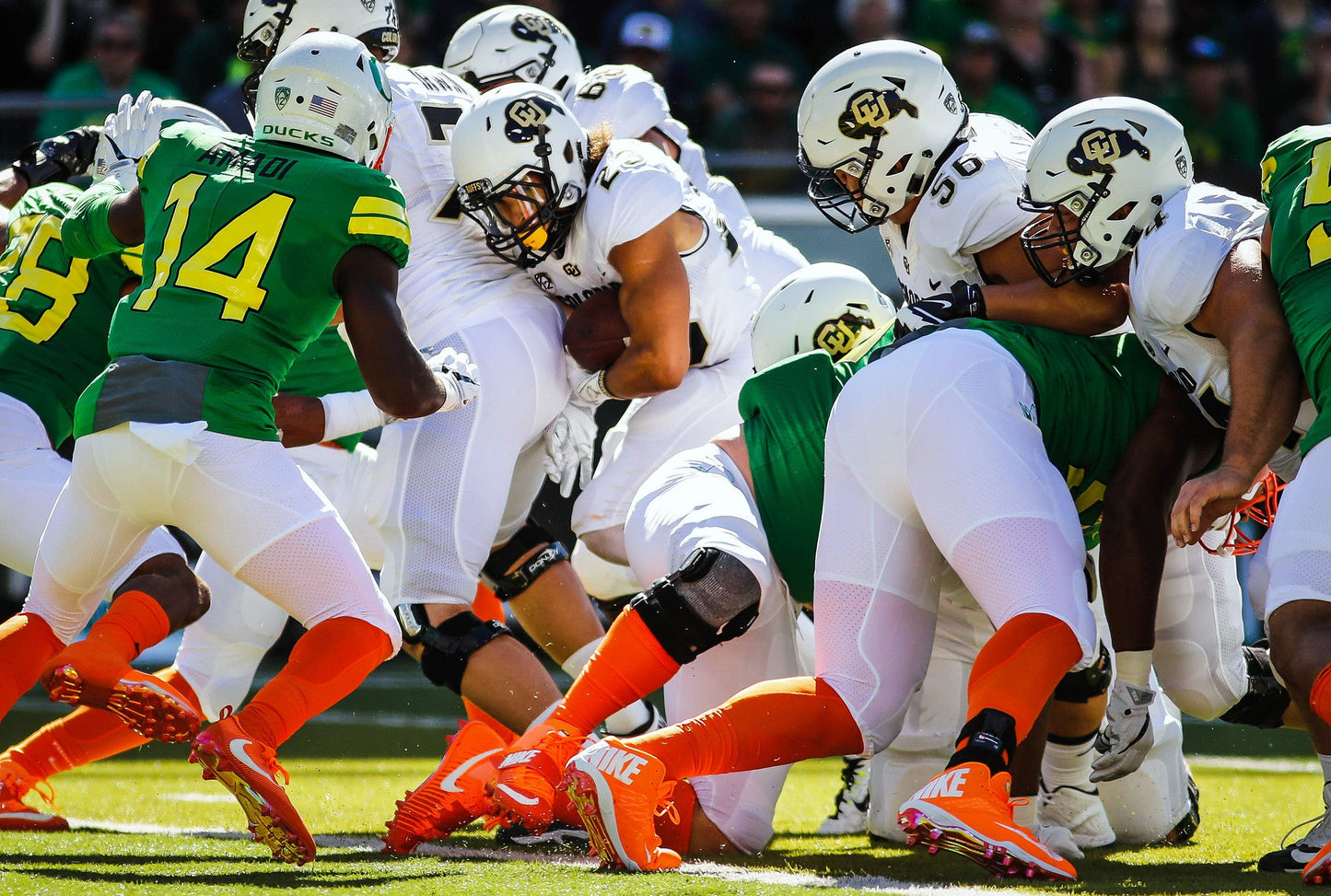 The Rise: The University of Colorado Buffaloes' Historic Turnaround Season Book