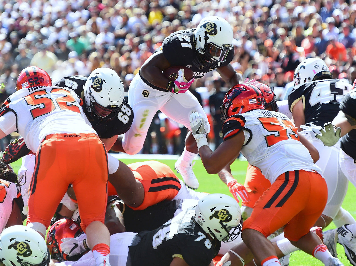 The Rise: The University of Colorado Buffaloes' Historic Turnaround Season Book