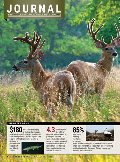 Outdoor Canada - Summer 2025: Our Great Land, Canada’s Wild Landscapes & Greatest Outdoor Achievements, Best Barbless Fishing Techniques, Essential Bird Hunts, Must-Do Bucket-List Destinations & More!