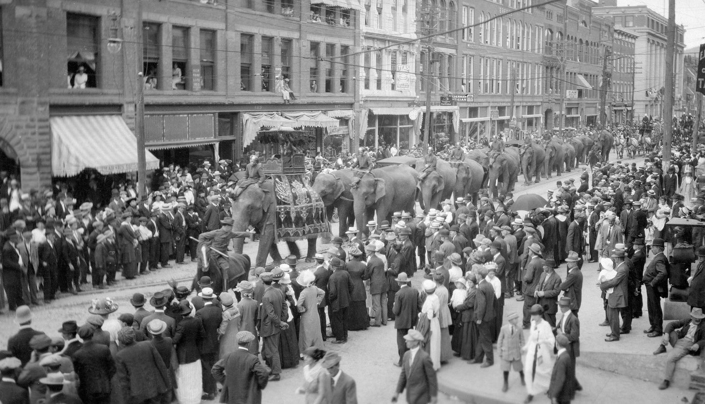 A Pictorial History: Looking Back: Otsego, Delaware, Chenango and Schoharie Counties of Upstate New York Book