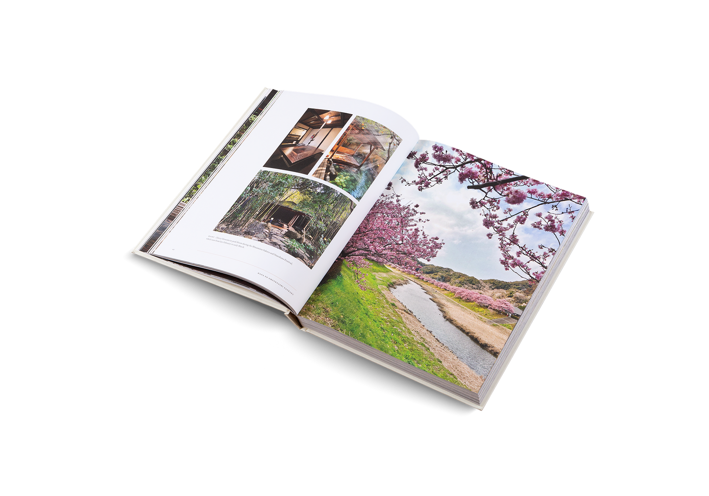 Onsen and Ryokan of Japan Book