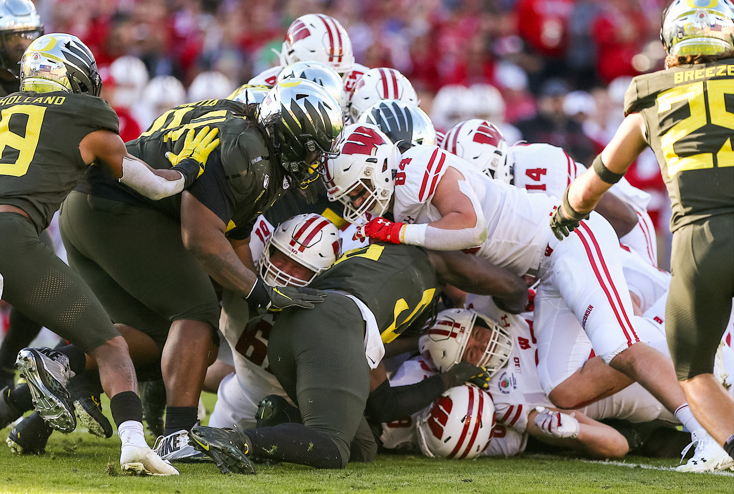 Flying High: The University of Oregon's Remarkable 2019 Football Season Book