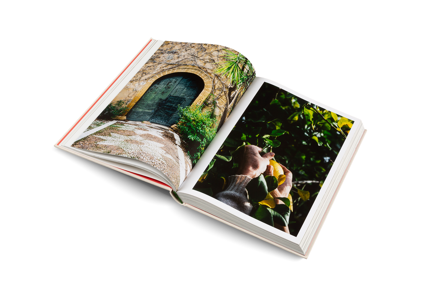 Originale Book