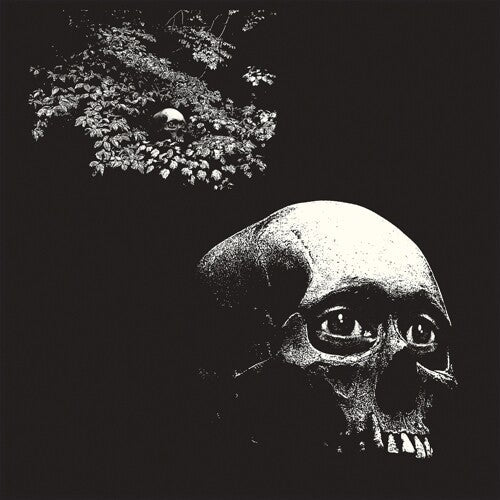 A Foul Form Vinyl Record