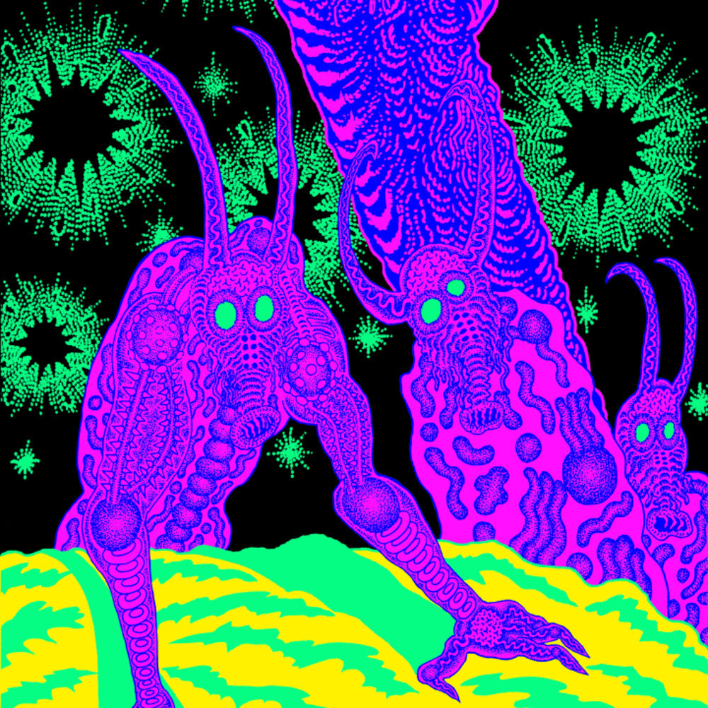 Osees – Abomination Revealed At Last (LP Vinyl) Vinyl Record
