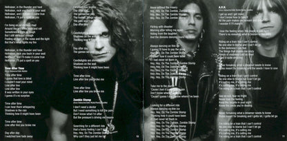 Ozzy Osbourne – No More Tears (2-LP Vinyl) Vinyl Record