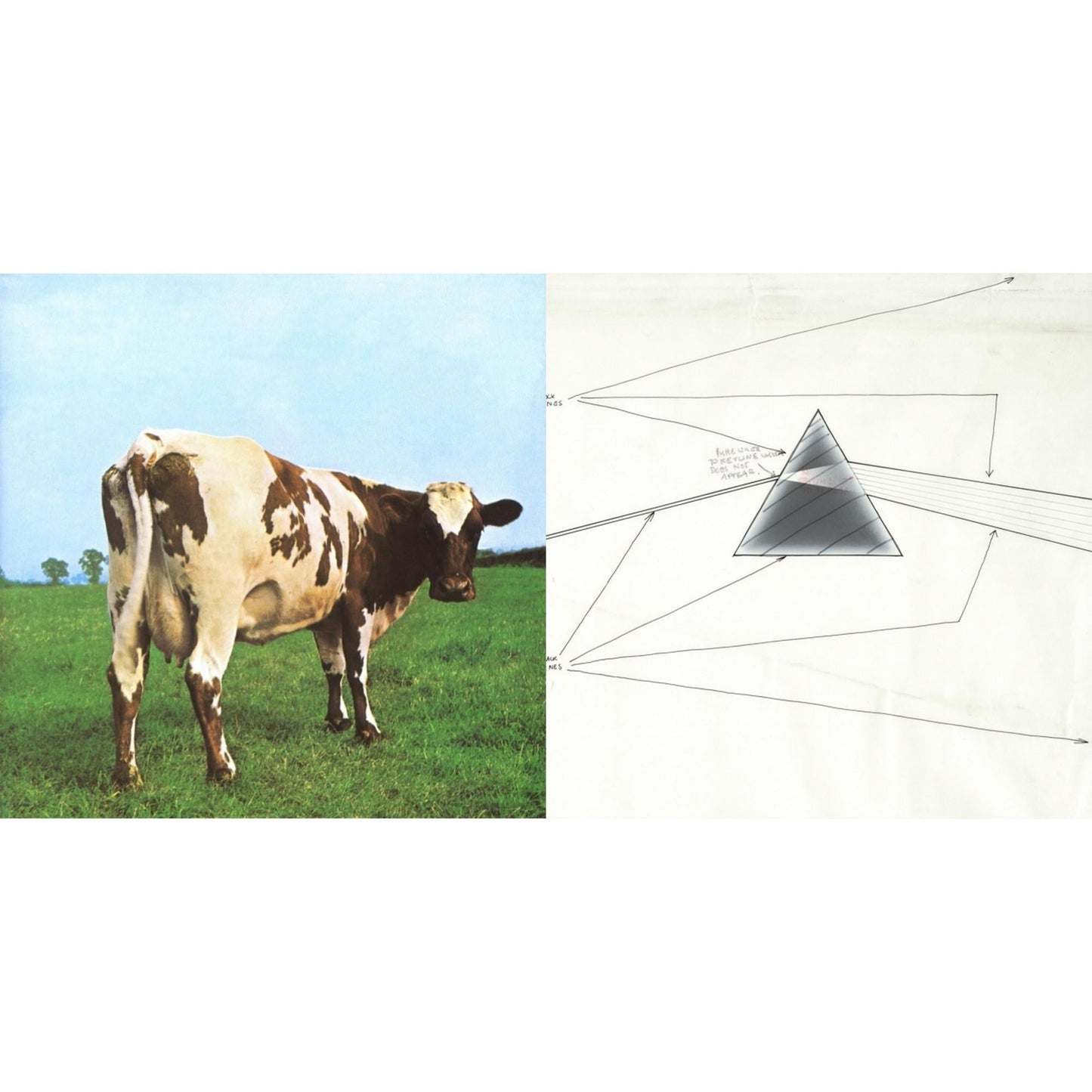 Pink Floyd - Dark Side Of The Moon Live At Wembley Empire Pool 1974 & Atom Heart Mother (180G/Gatefold/2016 Version) - LP Vinyl Bundle