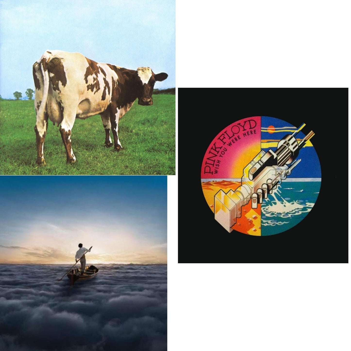 Pink Floyd - Endless River (2LP/180G) & Atom Heart Mother (180G/Gatefold/2016 Version) & Wish You Were Here (180G)