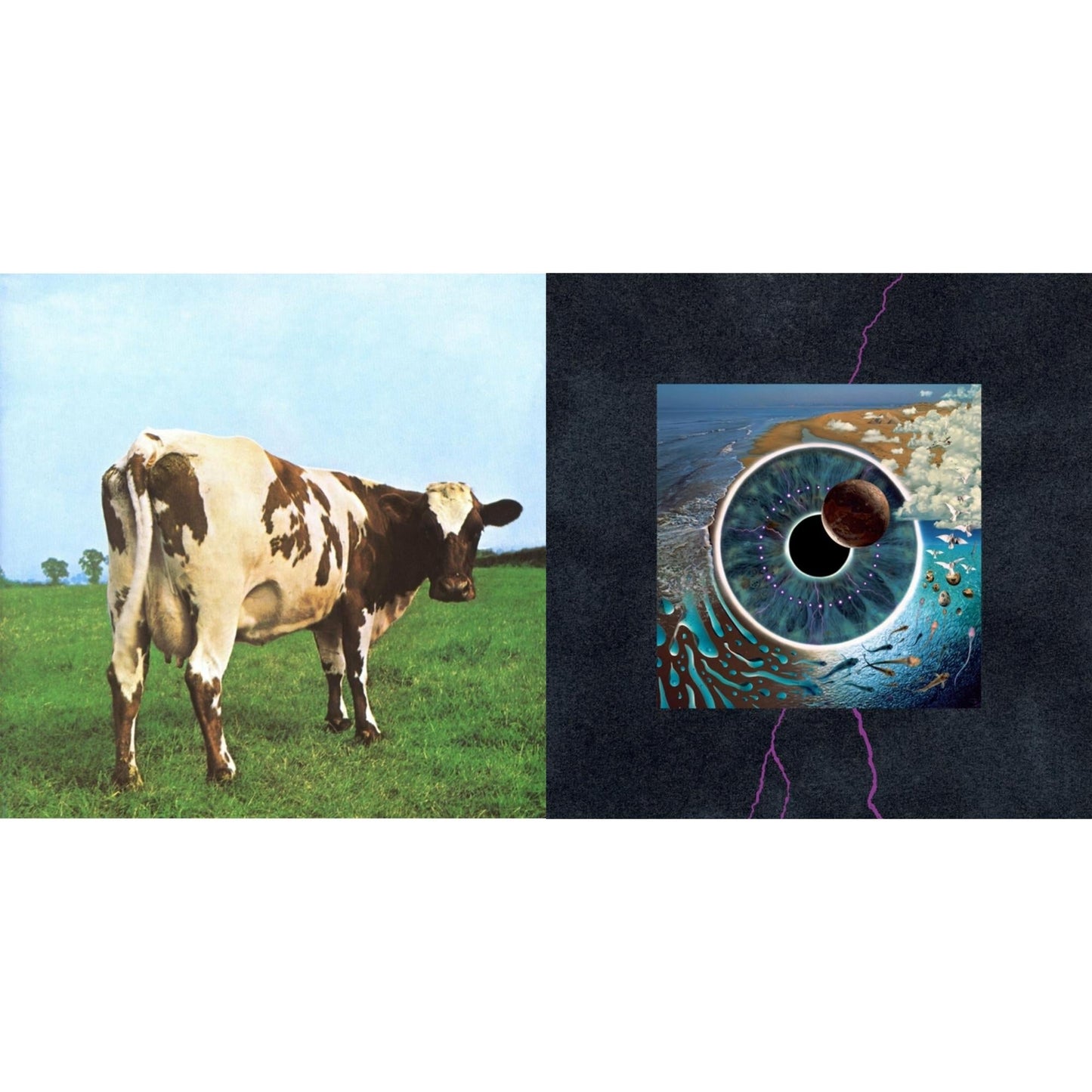 Pink Floyd - Atom Heart Mother (180G/Gatefold/2016 Version) & Pulse (180G/4LP/52 Pp Book)