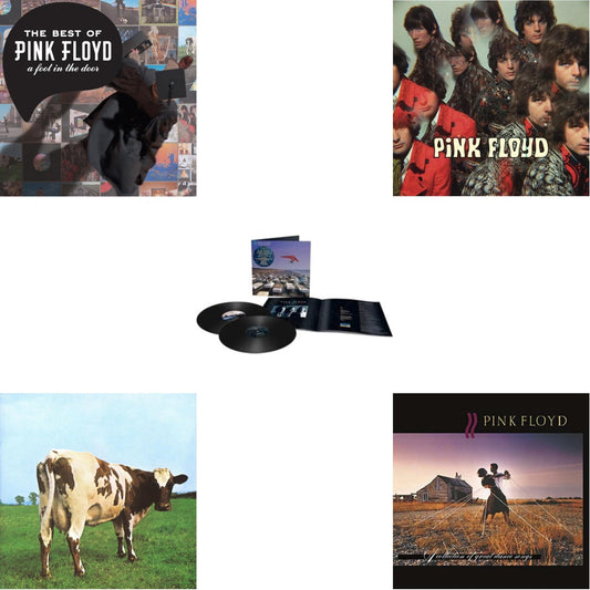 Pink Floyd - Momentary Lapse Of Reason (Remixed & Updated) (2LP) & Piper At The Gates Of Dawn (Mono Version) & Atom Heart Mother (180G/Gatefold/2016 Version) & Collection Of Great Dance Songs (180G) & Best Of Pink Floyd: A Foot In Door (2LP/180G