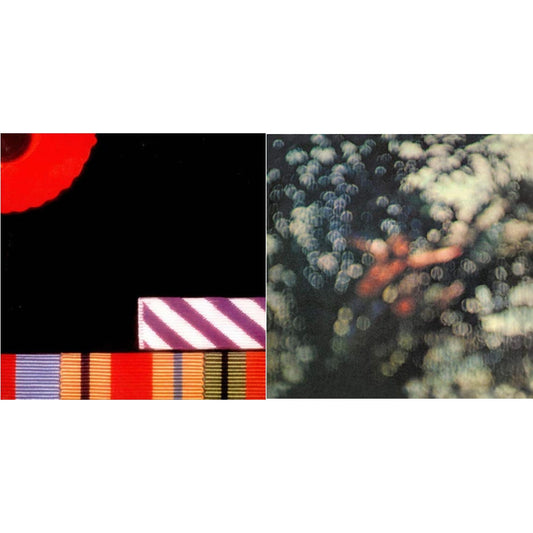 Pink Floyd - Obscured By Clouds (180G/2016 Version) & Final Cut (180G/Gatefold) (2016 Version) - LP Vinyl Bundle