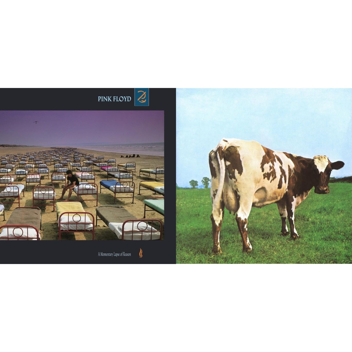 Pink Floyd - Atom Heart Mother (180G/Gatefold/2016 Version) & Momentary Lapse Of Reason (180G/Gatefold) (2016 Version) - LP Vinyl Bundle