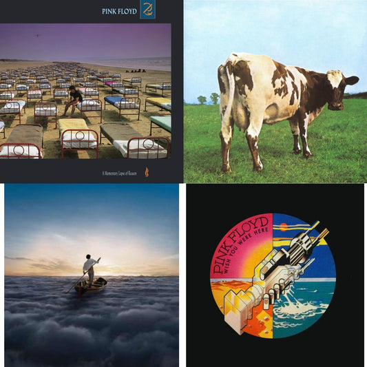 Pink Floyd - Endless River (2LP/180G) & Atom Heart Mother (180G/Gatefold/2016 Version) & Wish You Were Here (180G) & Momentary Lapse Of Reason (180G/Gatefold) (2016 Version)