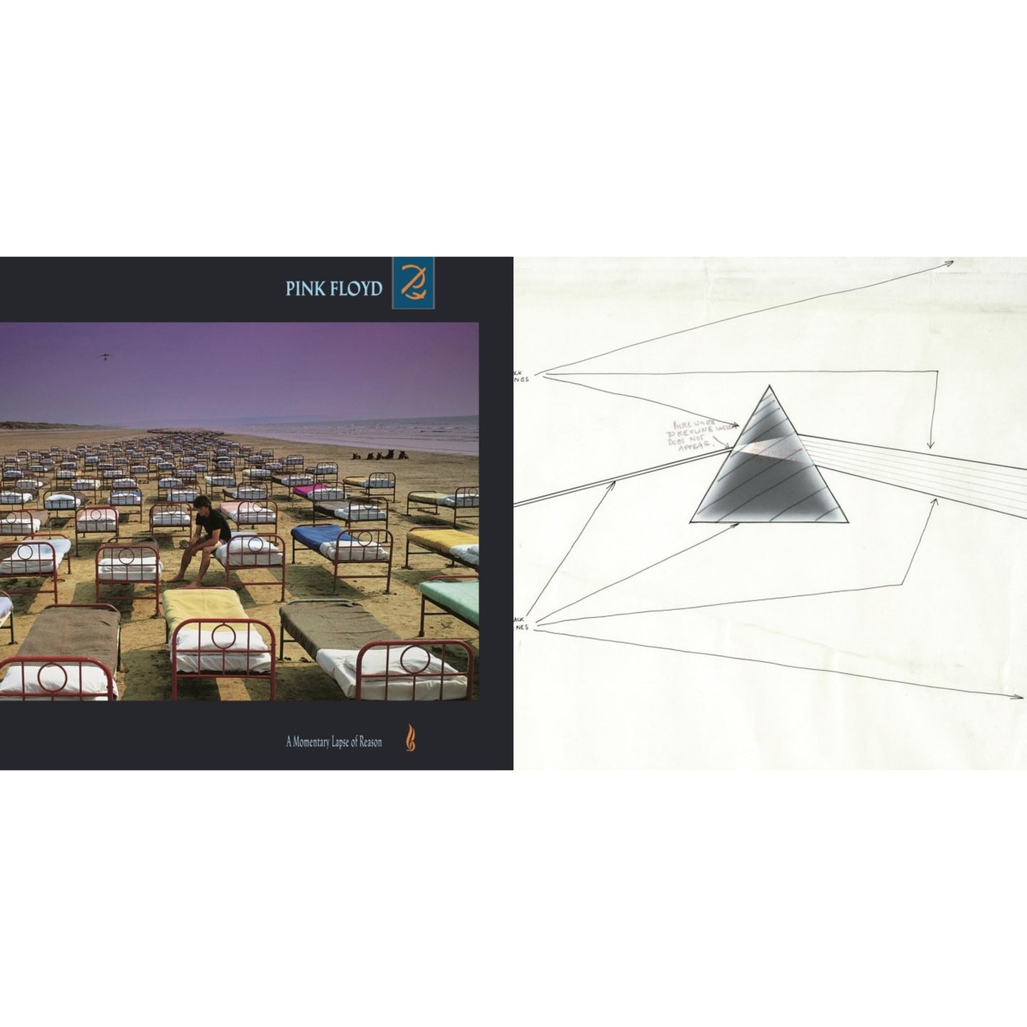 Pink Floyd - Dark Side Of The Moon Live At Wembley Empire Pool 1974 & Momentary Lapse Of Reason (180G/Gatefold) (2016 Version) - LP Vinyl Bundle