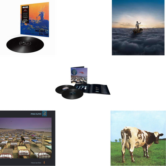 Pink Floyd - Momentary Lapse Of Reason (Remixed & Updated) (2LP) & Endless River (2LP/180G) & More (180G) & Atom Heart Mother (180G/Gatefold/2016 Version) & Momentary Lapse Of Reason (180G/Gatefold) (2016 Version)