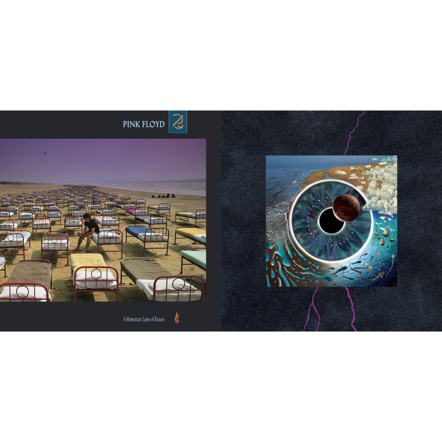 Pink Floyd - Momentary Lapse Of Reason (180G/Gatefold) (2016 Version) & Pulse (180G/4LP/52 Pp Book)