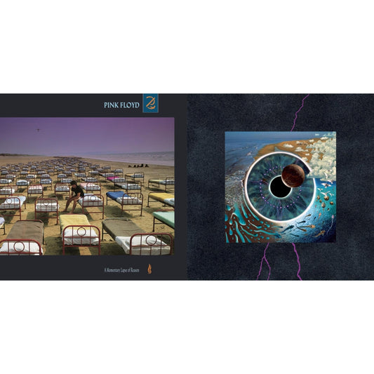 Pink Floyd - Momentary Lapse Of Reason (180G/Gatefold) (2016 Version) & Pulse (180G/4LP/52 Pp Book)