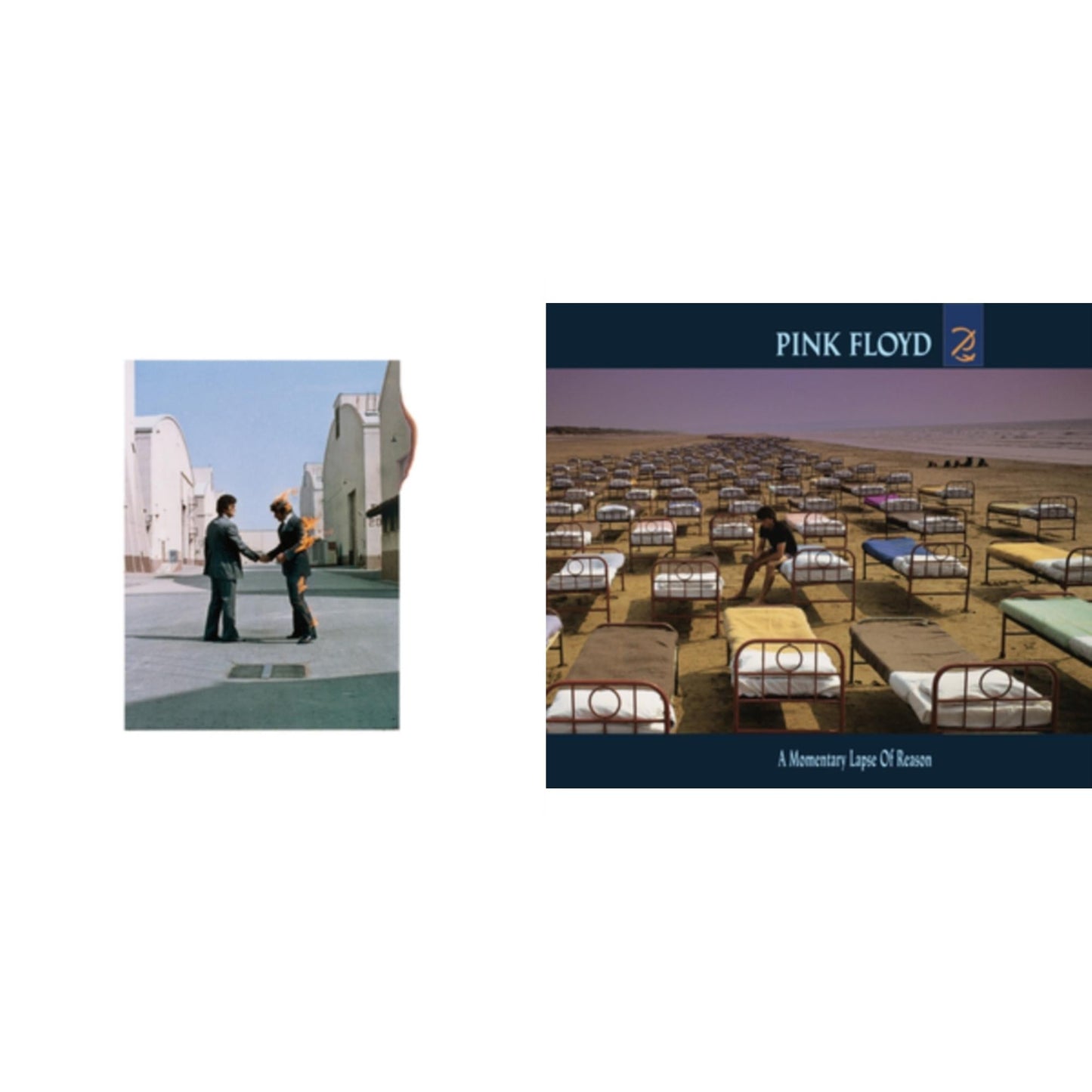 Pink Floyd - Wish You Were Here (180G) & Momentary Lapse Of Reason (180G/Gatefold) (2016 Version) - LP Vinyl Bundle
