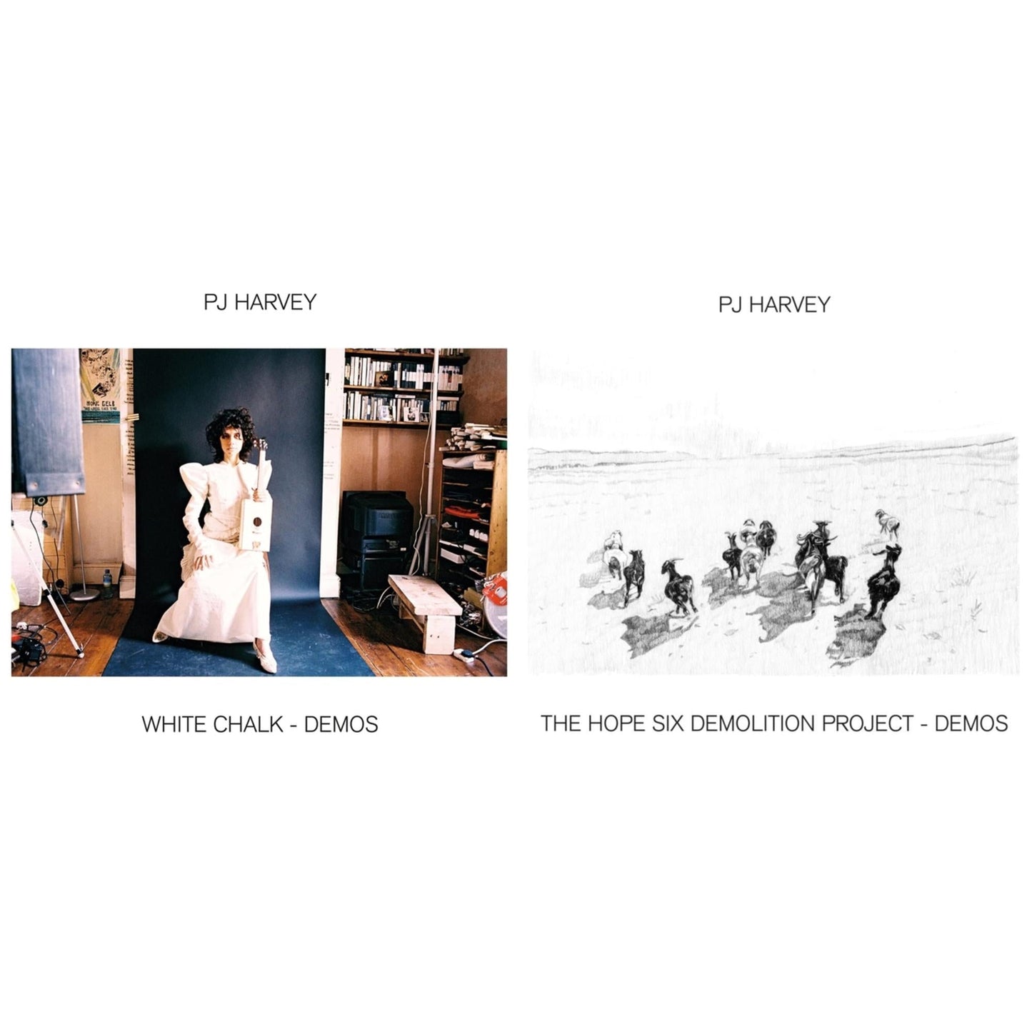 Pj Harvey - White Chalk (Demos) & Hope Six Demolition Project - Demos - LP Vinyl Bundle
