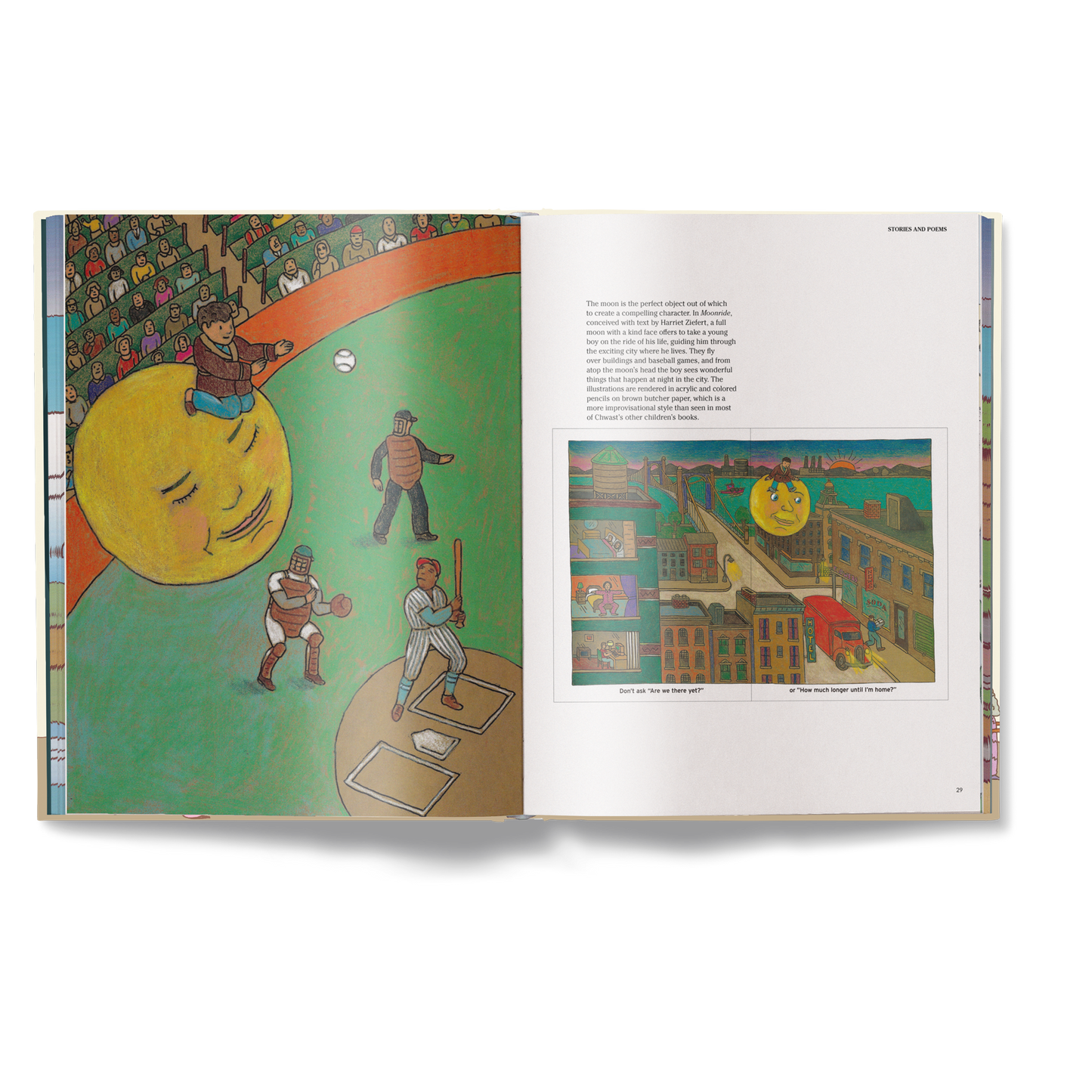 The Picture Book Book