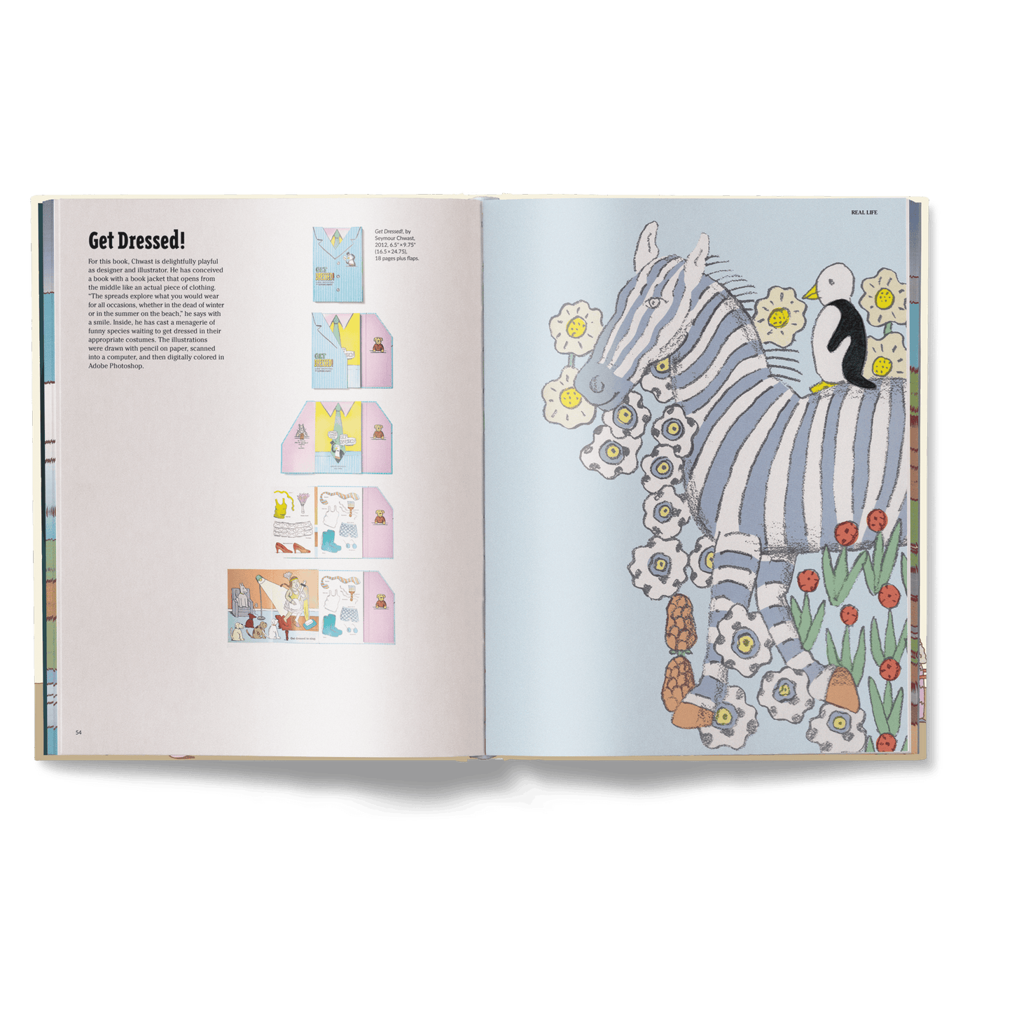 The Picture Book Book
