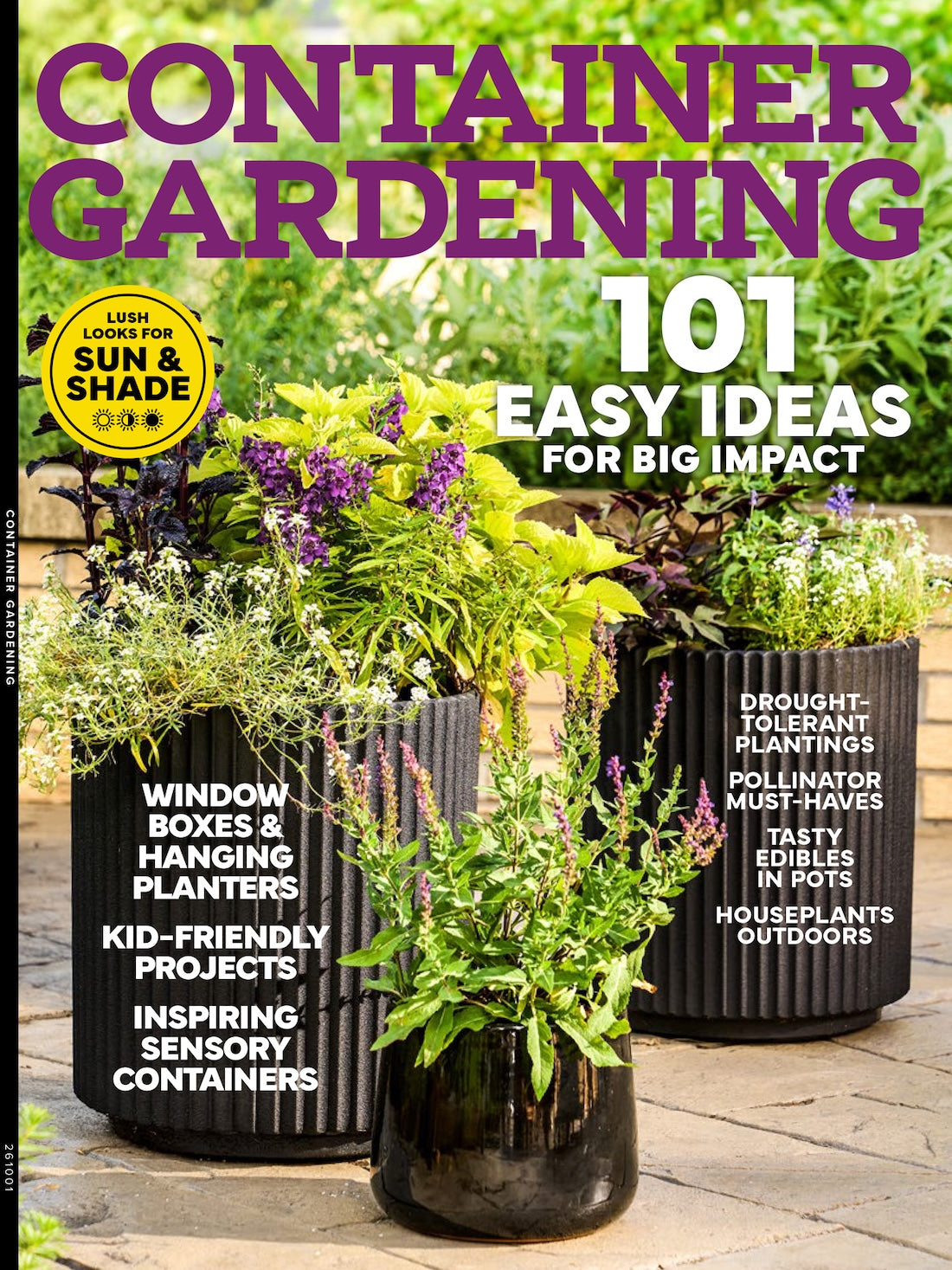 Container Gardening - 101 Easy Ideas For Big Impact: Window Boxes & Hanging Planters, Kid Friendly Projects, Inspiring Sensory Containers, Drought Tolerant Plantings, Pollinator Must Haves & More!