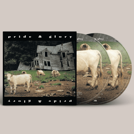 Pride & Glory - "Self-Titled" Picture Disc Vinyl Record Vinyl Record