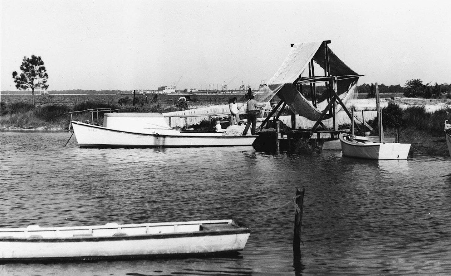 Celebrating Bay's Beginning: A Pictorial Retrospective of Bay County, Florida 1900s - 2000s Book