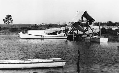 Celebrating Bay's Beginning: A Pictorial Retrospective of Bay County, Florida 1900s - 2000s Book