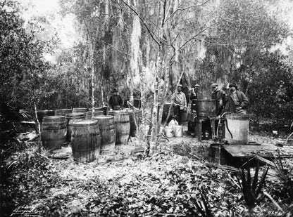 Celebrating Bay's Beginning: A Pictorial Retrospective of Bay County, Florida 1900s - 2000s Book