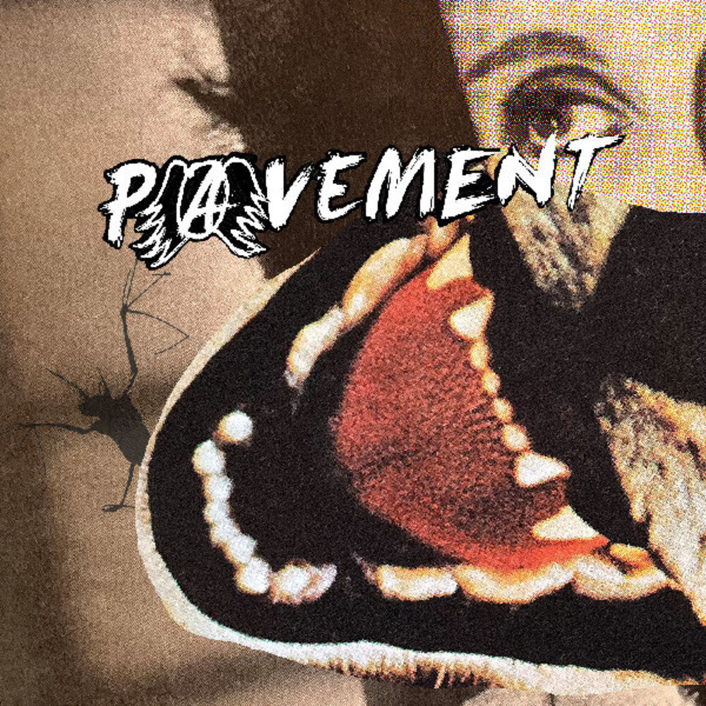 Pavement – Hecklers Choice: Big Gums And Heavy Lifters (LP Vinyl) Vinyl Record