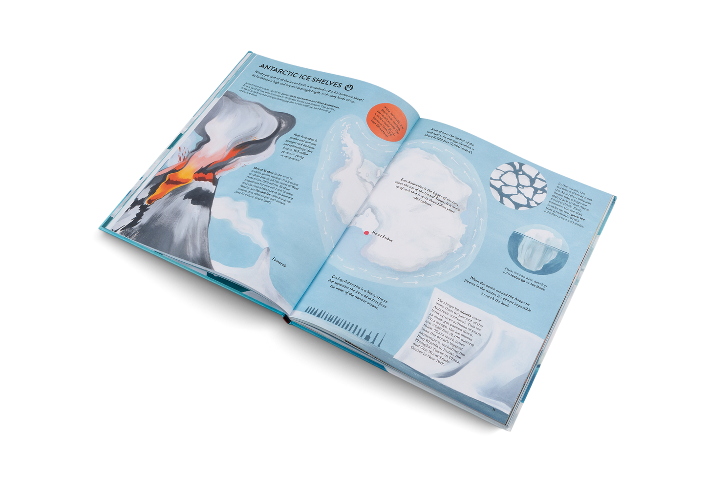 Penguins and Polar Bears Book