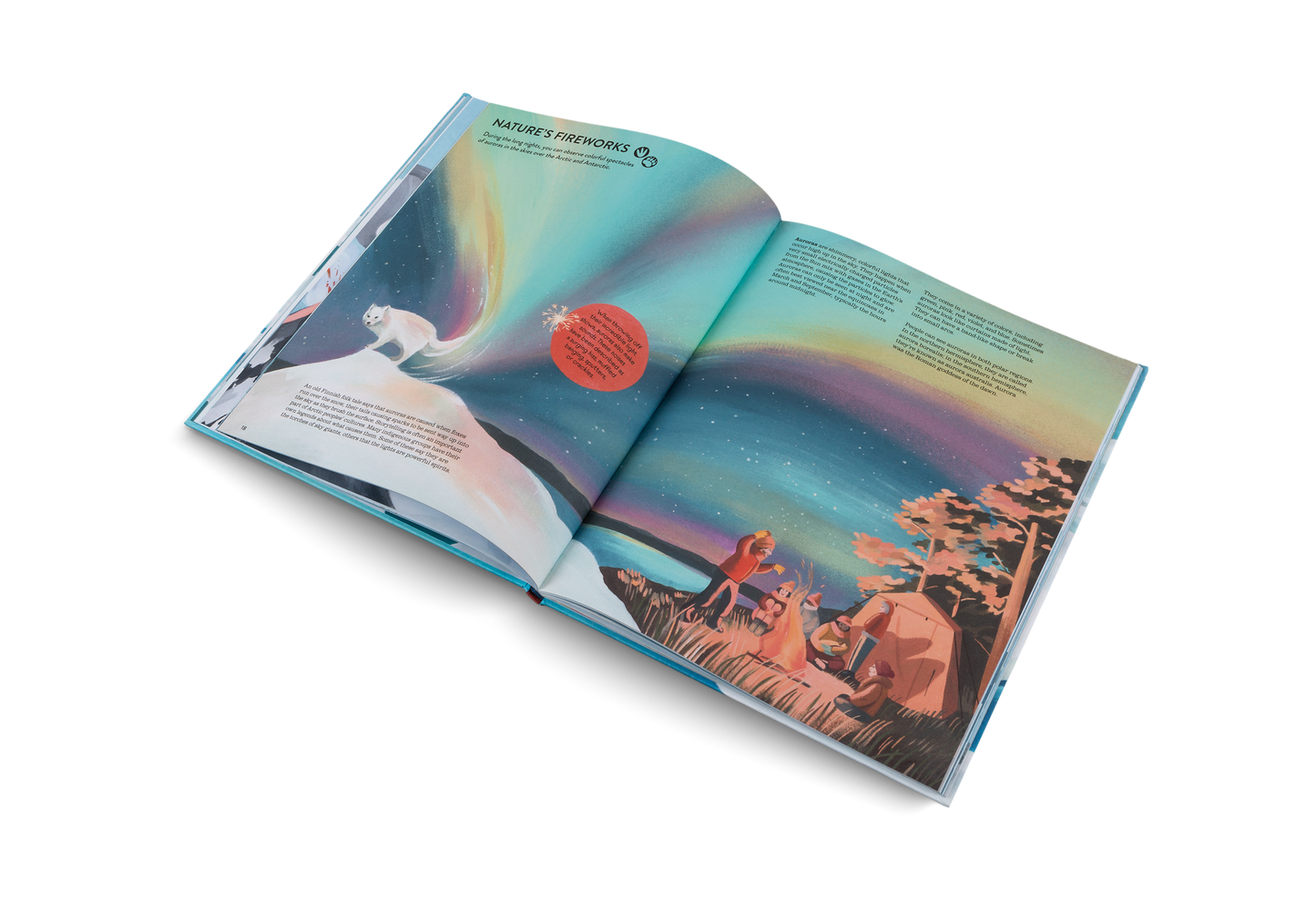 Penguins and Polar Bears Book