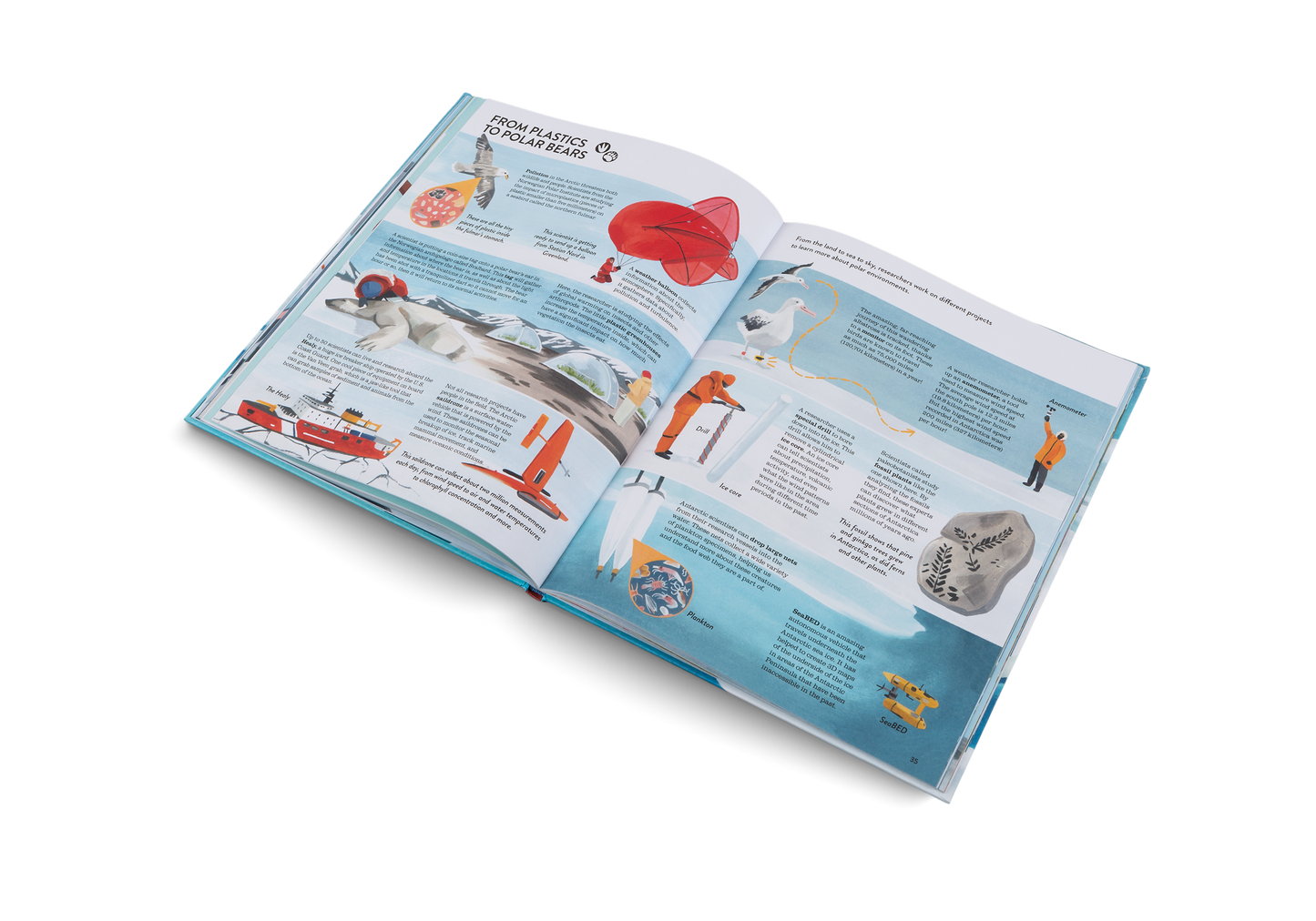 Penguins and Polar Bears Book