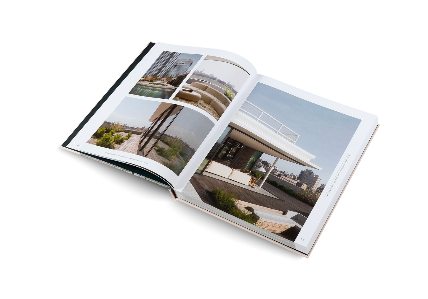 Penthouse Syndrome Book