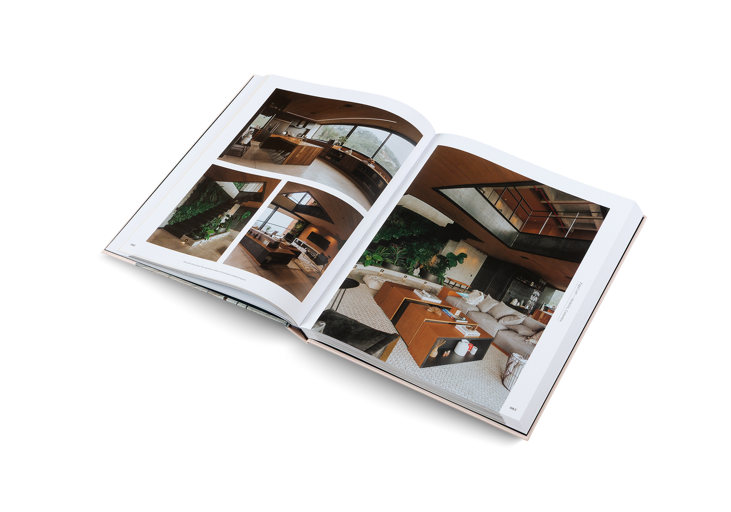 Penthouse Syndrome Book