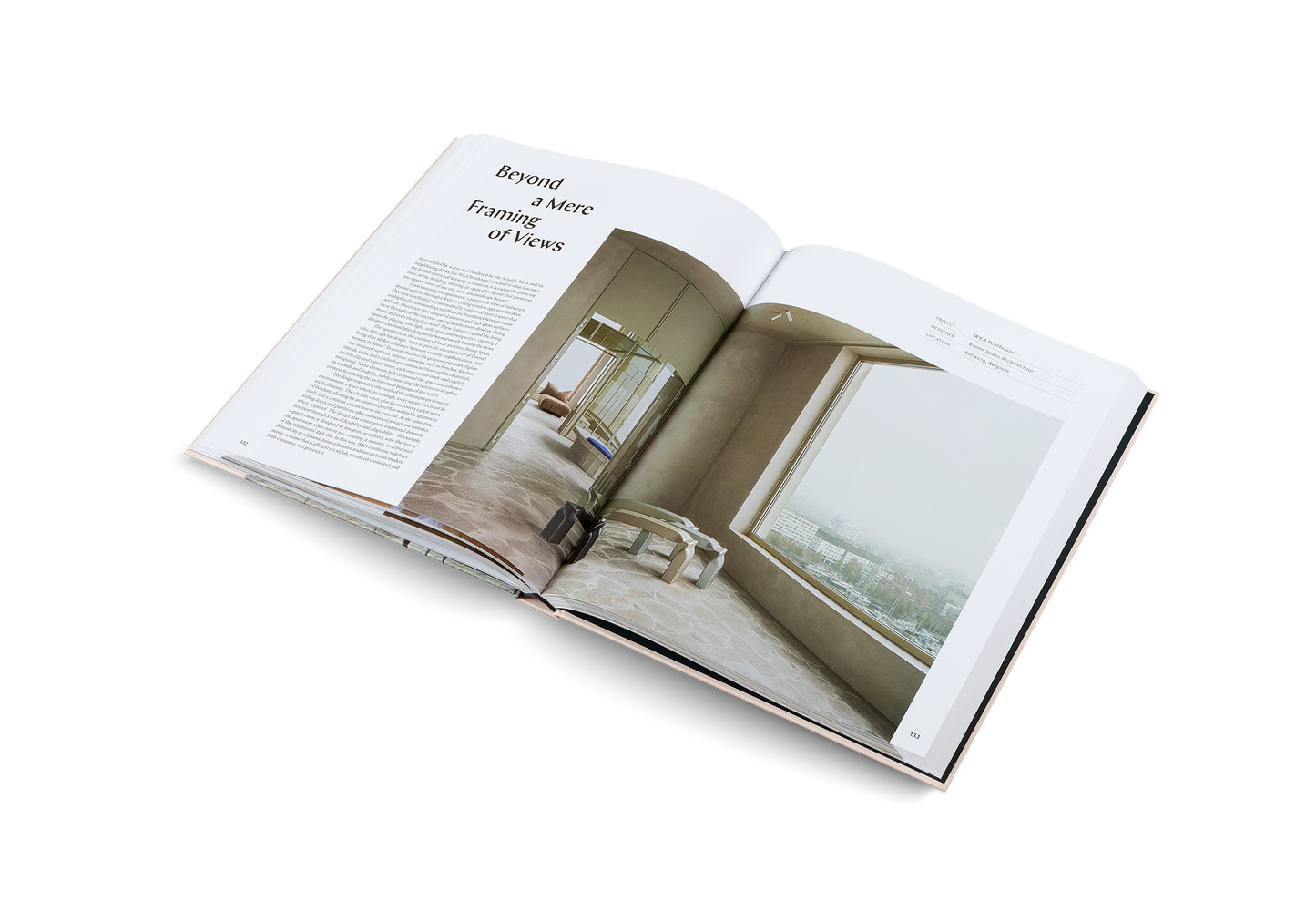 Penthouse Syndrome Book