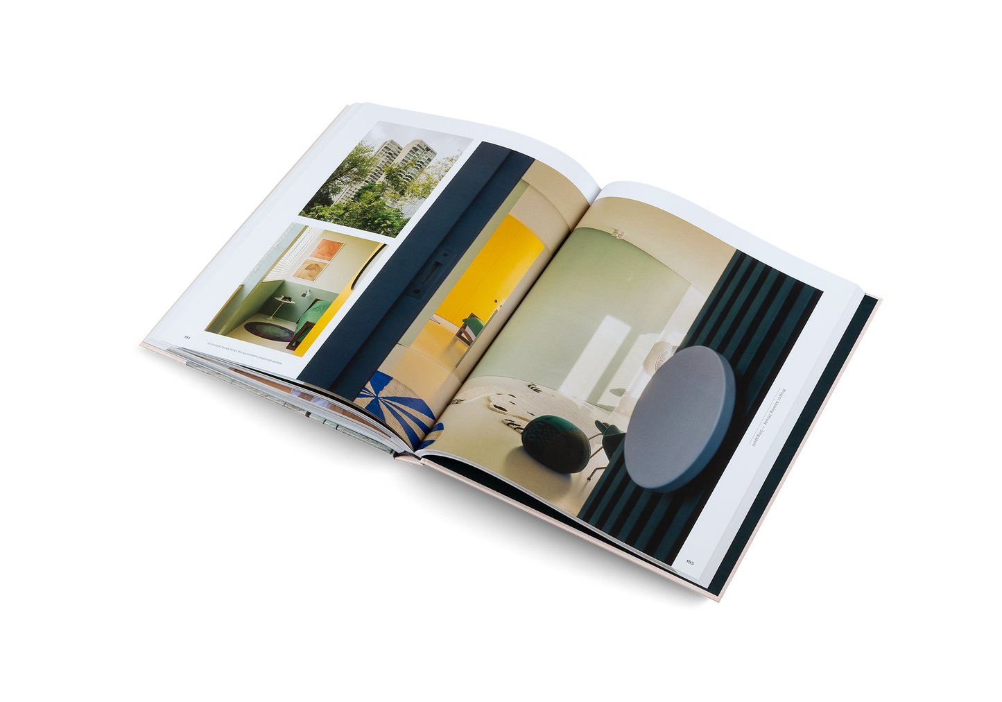 Penthouse Syndrome Book